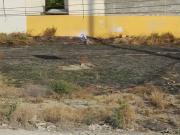 Terreno comercial Asturias Residencial