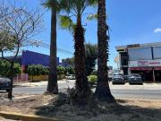 Terreno comercial Con uso de suelo comercial y vertical