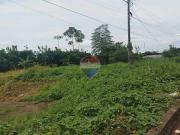 Terreno Comercial De 1338.45