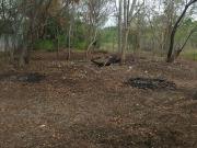 Terreno Comercial en renta a unos metros del Aeropuerto... Terreno Comercial en renta a unos metros del Aeropuerto...