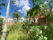 TERRENO COMERCIAL EN RENTA, CELAYA 3