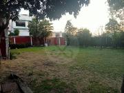 Terreno comercial en renta en San Miguel Xochimanga