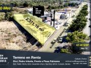 Terreno Comercial en Renta Culiacán Pedro Infante Tres...