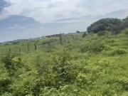 Terreno Comercial en Venta cerca de Cervecería...