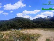 Terreno Comercial en Venta en Mineral del Monte Hidalgo