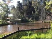 Terreno comercial orilla ruta 206 $ 320.000.000