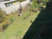 Terreno comercial para Locação em Curitiba/PR Lindóia