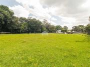 Terreno comercial para Locação em Curitiba/PR Tatuquara