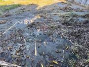 Terreno comercial para Locação em Manaus/AM Parque 10 de...