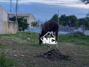 Terreno comercial para Locação em Niterói/RJ Itaipu