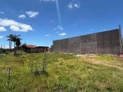 Terreno comercial para Locação em Ponta Grossa/PR Cará cará