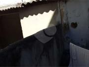 Terreno comercial para Locação em São Paulo/SP Água Fria