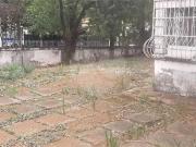 Terreno comercial para Locação em São Paulo/SP Moema