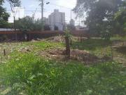 Terreno comercial para Locação em São Paulo/SP Vila...