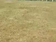 Terreno comercial para Locação em Salvador/BA Centro...