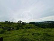 Terreno comercial para Locação em Vinhedo/SP Monte Alegre
