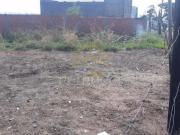 Terreno Comercial para venda e locaÃ§Ã£o, Jardim...
