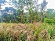 Terreno comercial para Venda em Almirante Tamandaré/PR...