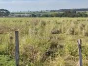 Terreno comercial para Venda em Álvares Florence/SP Centro