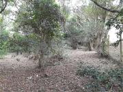 Terreno comercial para Venda em Atibaia/SP Chácaras...