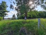 Terreno comercial para Venda em Cachoeirinha/RS Vila City