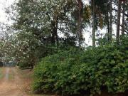 Terreno comercial para Venda em Campinas/SP Barão Geraldo