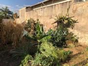 Terreno comercial para Venda em Campinas/SP Nova Campinas