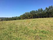 Terreno comercial para Venda em Campinas/SP Sousas