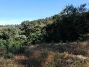 Terreno comercial para Venda em Campo Largo/PR Campina...