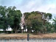 Terreno comercial para Venda em Cotia/SP Centro