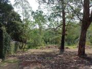 Terreno comercial para Venda em Cotia/SP Granja Viana