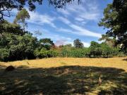 Terreno comercial para Venda em Cotia/SP Jardim Mediterrâneo