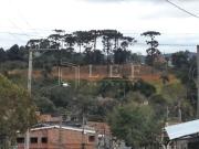 Terreno comercial para Venda em Cotia/SP Jardim Sandra