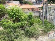 Terreno comercial para Venda em Cotia/SP Parque São George