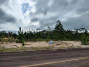 Terreno comercial para Venda em Governador Celso...