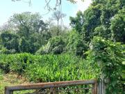 Terreno comercial para Venda em Hortolândia/SP Parque... Terreno comercial para Venda em Hortolândia/SP Parque...