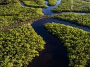 Terreno comercial para Venda em Ipixuna/AM Centro