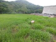 Terreno comercial para Venda em Jambeiro/SP Fazenda São...