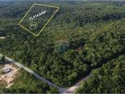 Terreno comercial para Venda em Manaus/AM Tarumã