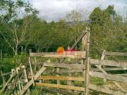 Terreno comercial para Venda em Maricá/RJ Inoã