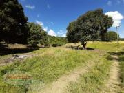 Terreno comercial para Venda em Maricá/RJ Pindobal Ponta...