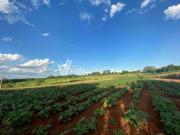Terreno comercial para Venda em Paulínia/SP Betel