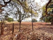 Terreno comercial para Venda em Paulínia/SP Santa Terezinha
