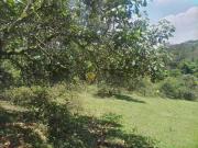 Terreno comercial para Venda em São Bernardo do Campo/SP... Terreno comercial para Venda em São Bernardo do Campo/SP...