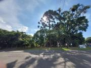 Terreno comercial para Venda em São Leopoldo/RS Santa Teresa