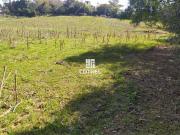 Terreno comercial para Venda em São Martinho da Serra/RS...
