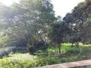 Terreno comercial para Venda em São Paulo/SP Interlagos