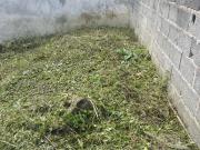 Terreno comercial para Venda em São Paulo/SP Jardim Colonial