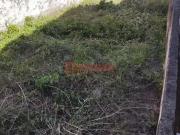 Terreno comercial para Venda em São Paulo/SP Vila Anglo...