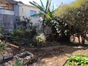 Terreno comercial para Venda em São Paulo/SP Vila Gustavo